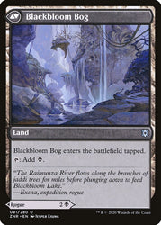 Blackbloom Rogue // Blackbloom Bog [Zendikar Rising] 