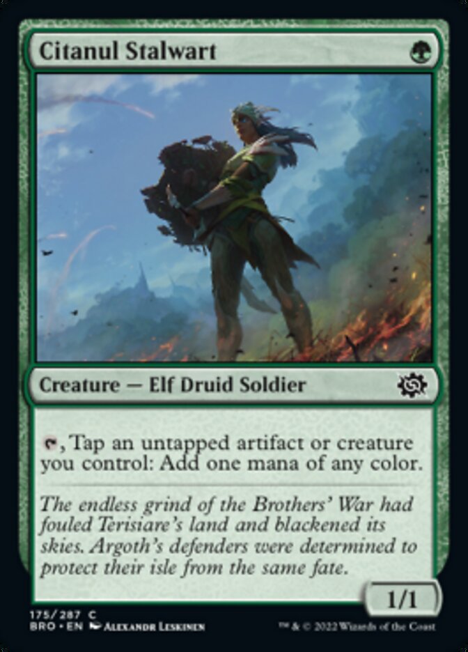 Citanul Stalwart [The Brothers' War] 