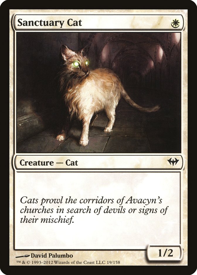 Sanctuary Cat [Dark Ascension] 